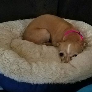 Meet your Posher, Ian